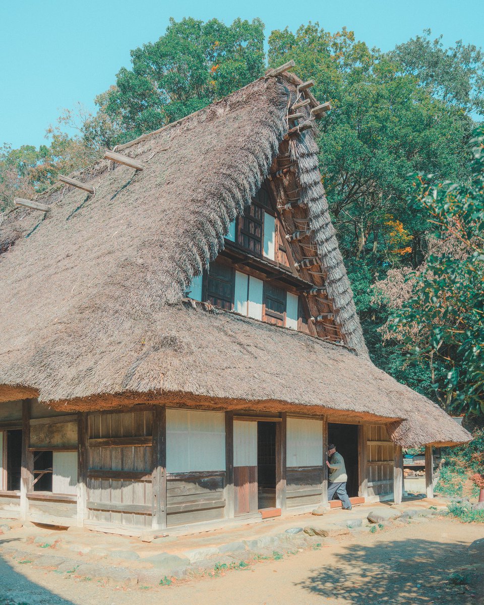 StudioShuko tweet media