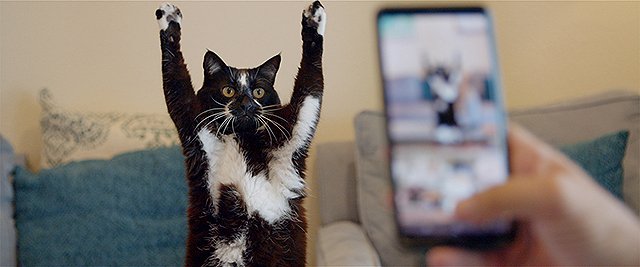 【公開決定】
10/27㊎より
『猫と、とうさん』
猫たちと幸せを見つけ、優しく生きている人たちがいる。俳優やエンジニア、路上生活者、消防士など、さまざまな9人の男性たちが誰にとっても未曾有の試練となった2020年を愛猫とともに乗り越える姿を記録したドキュメンタリー。猫好き必見です！