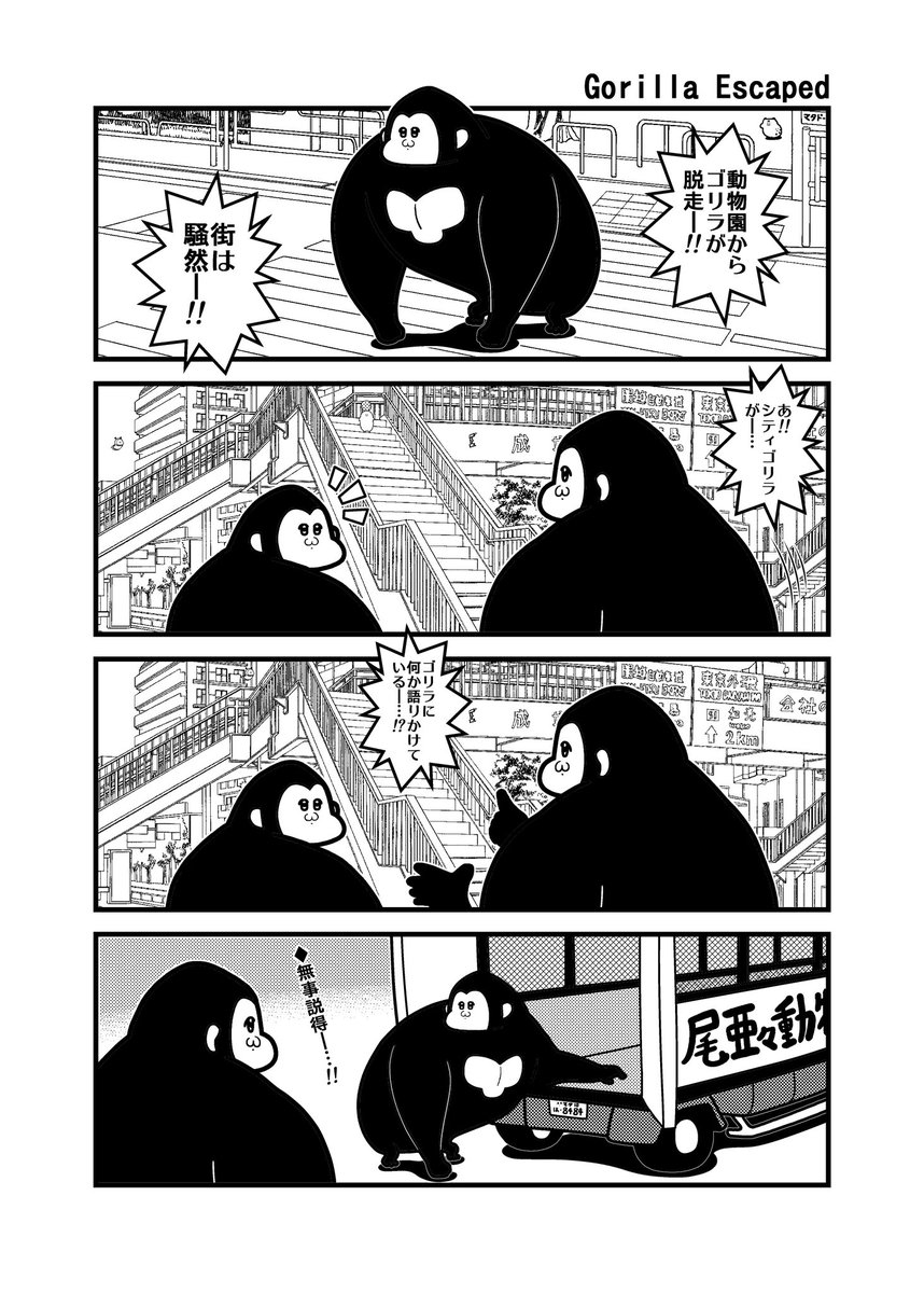 シティゴリラ&原始シティゴリラ #世界ゴリラの日