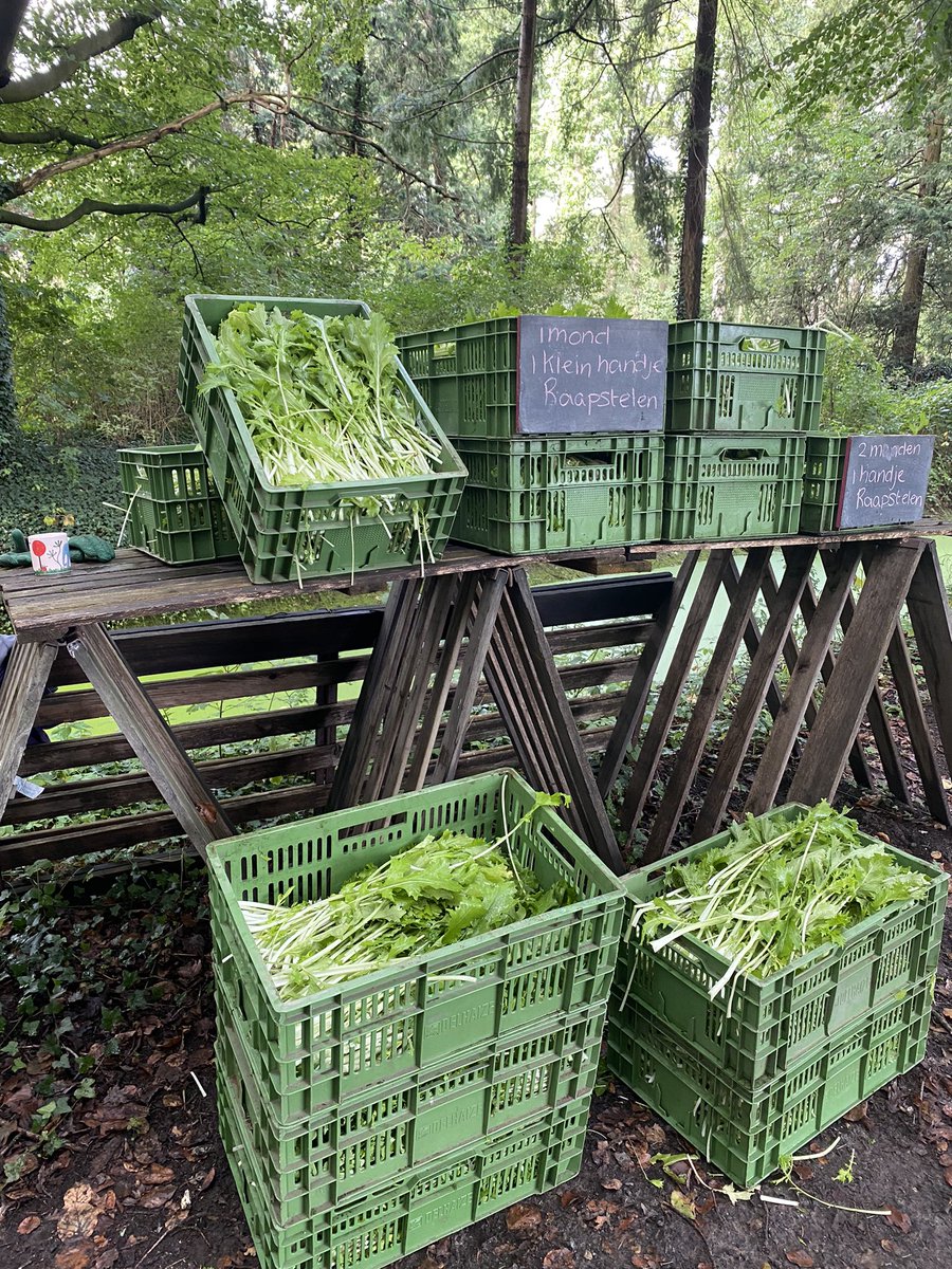 Weer gezellig druk bij het boodschappen doen op onze boerderij <a href="/HerenboerenWP/">Herenboeren Wilhelminapark </a> <a href="/herenboeren/">Herenboeren</a>