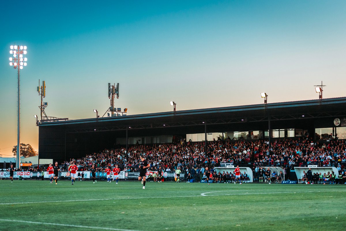 MelbKnights's tweet image. Official crowd attendance: 5183. What a sight to see.

#MCMLIII #70years #mkfc #australiacup