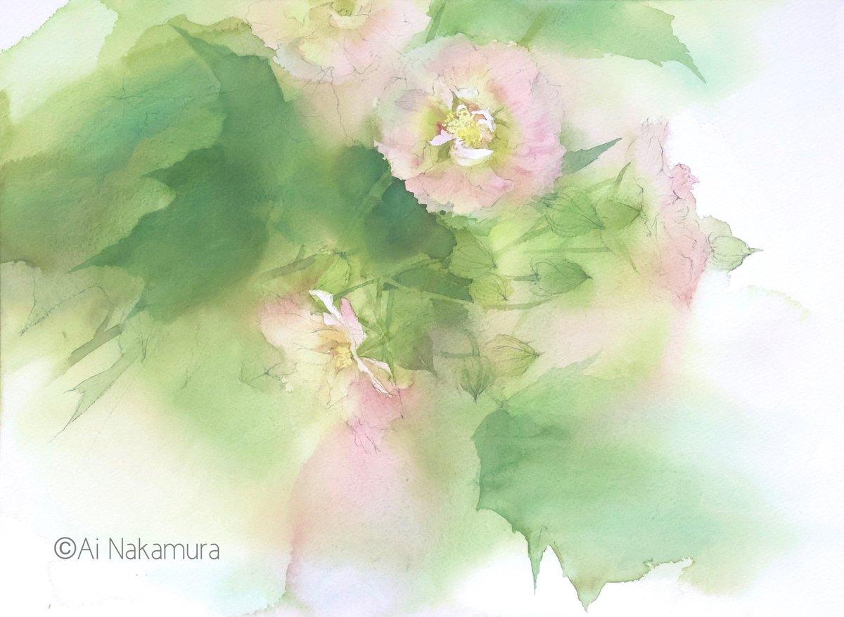 水彩画 花 Pinterest | 花 水彩画, 水彩画, 花