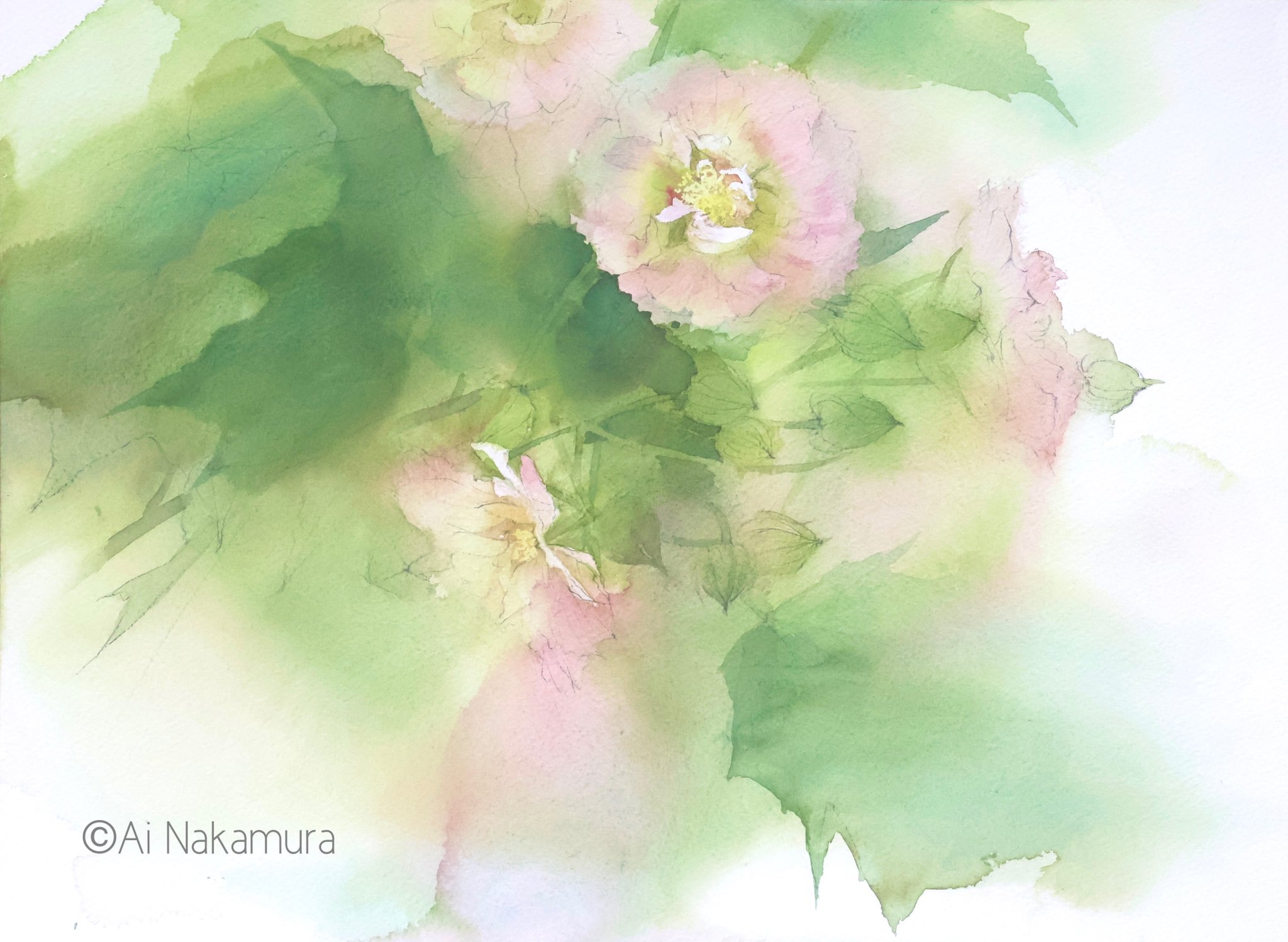 花の水彩画 - Search / X