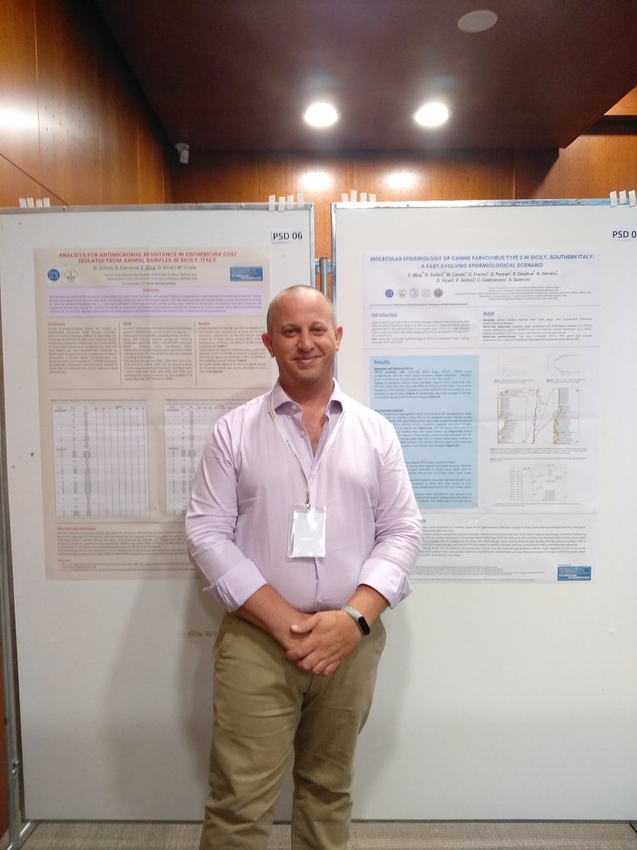 A conference to have been to. A great opportunity for discussion and growth, together with many high-level colleagues. At the end of the congress, a very kind colleague took this photo of our posters at the Conference of the European College of Veterinary Microbiology.