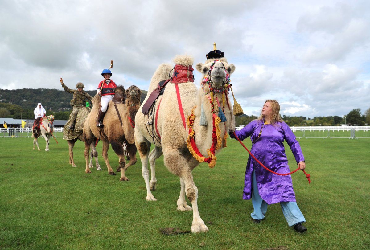 Strutting into the FINAL day of #MalvernAutumnShow like this....

Come on down and join us to be a part of the fun!
