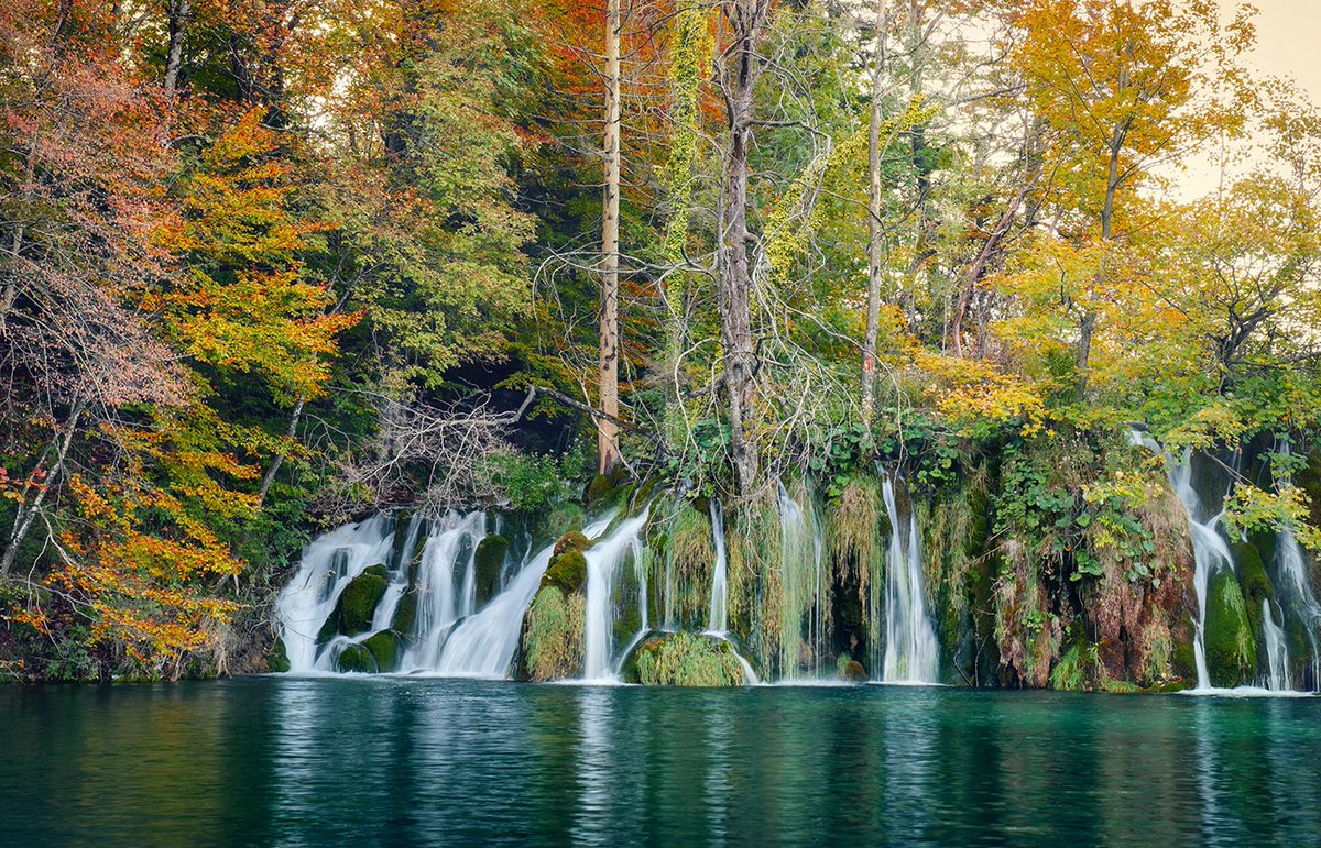 bluesharksplit's tweet photo. Why Is The Tourist Postseason A Great Time To Visit Dalmatia And Split? 
#crystalclearsea #speedboattour #croatiatravel #bluesharksplit🚤#Travelblog

https://t.co/zV7EVkXp19 https://t.co/5AAudHO9vQ