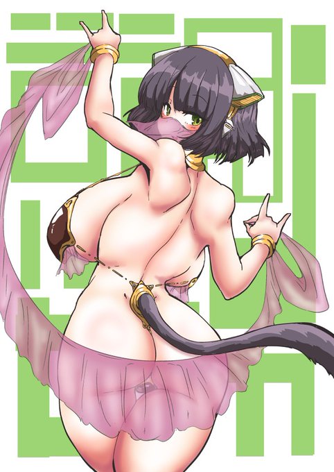 今日の日課はVMBセイカさんですコッショリ 