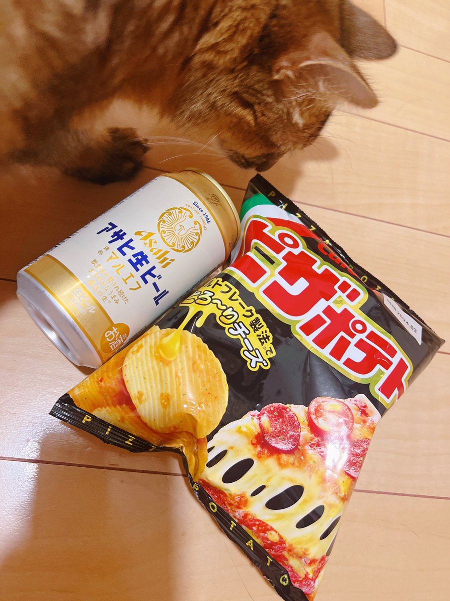 お天気が良いから毎年恒例のダリア展に行ってきた🐼✨️

夏は暑すぎて外出る気になれなかったけど、今は丁度いい温度でたくさんお散歩がしたくなるっ☺️

お家帰ってからは猫モフりながらビールとおつまみで疲れを癒す🍺✨️

次はどんなお散歩にしようかな🐈🐾