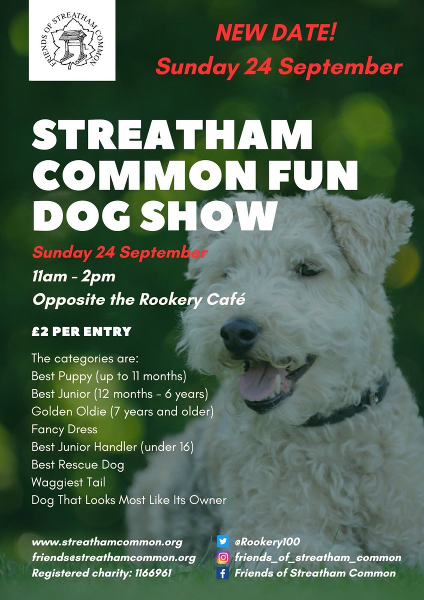 #streatham common fun Dog Show is back today - and it’s not too hot this time for sure. Just pop along and enter the categories of your choice.