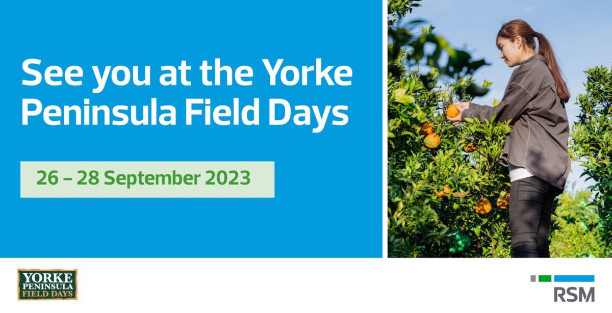 bradloftus's tweet photo. Visit @RSM_au at Site 458 South Hammocks Rd at the #YPFieldDays for expert Business Advisory and Financial Services tailored to the agri-sector! 🌾 #southaustralia #Agribusiness https://t.co/0dKDEzB2bH