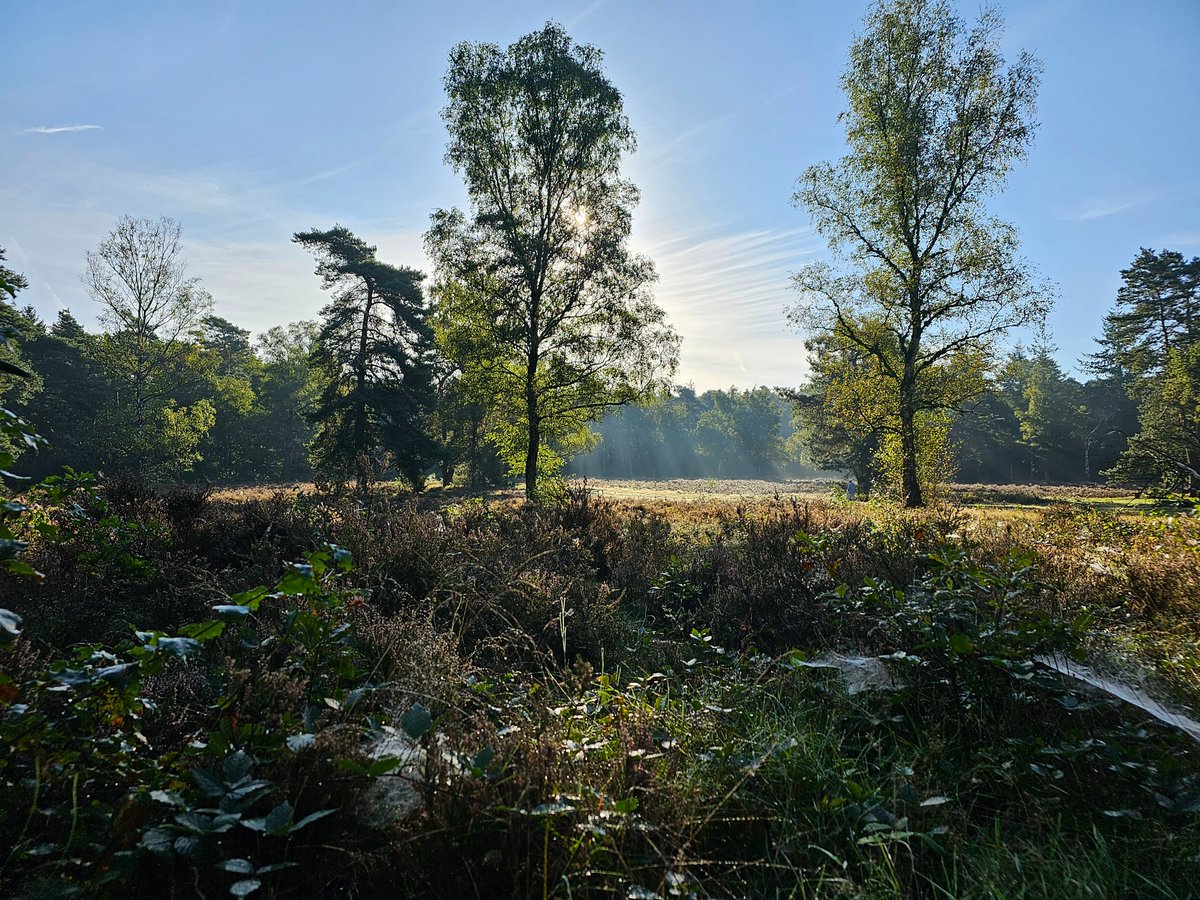 Na een periode met wisselvalliger weer, soms veel wind en behoorlijk zachte nachten was het vanochtend op veel plaatsen weer eens rustig, helder en fris. ☀️🌫️🍂 📷 Geurt van Roekel