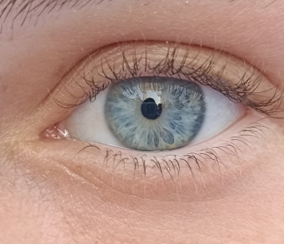airottivs tweet picture
