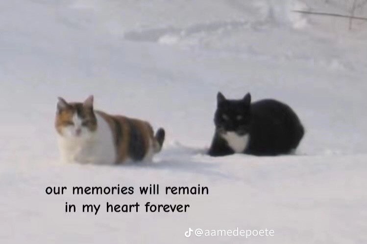 𝗡𝟭 𝗗𝗔𝗗!! (@st0nedl0ser) on Twitter photo 