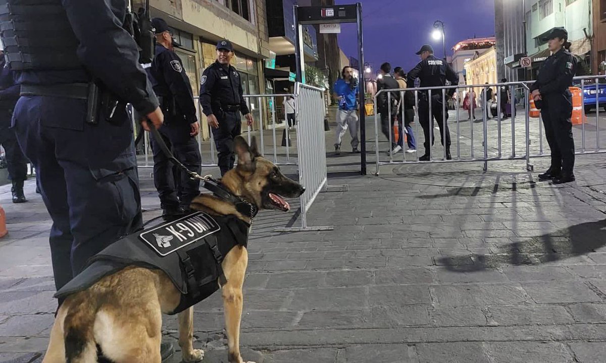 Perra policía muere por negligencia de la Secretaría de Seguridad Pública de Aguascalientes.

"Noche Buena" murió por insolación al ser dejada en una transportadora durante cinco horas.

Se trata de un grave problema en la cadena de custodia y cuidado de los elementos caninos.