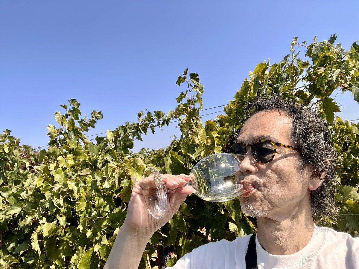 YoshiKuwahara's tweet image. 快晴の休日土曜日☀️カリフォルニアワイン🍷を堪能❣️気持ちいいね！😊
#winetasting #California #Livermore #Winery