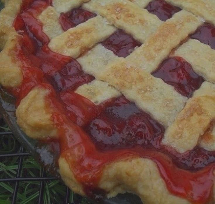 strawbuzz's tweet image. “your name” core
“your name” baking
“your name” autumn
“your name” pets