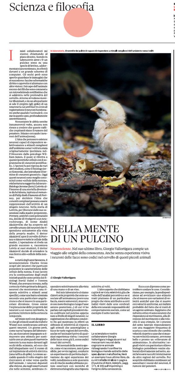 gVallortigara's tweet photo. Oggi sulla Domenica del @sole24ore #Il_pulcino_di_Kant
@adelphiedizioni https://t.co/0lZIOw7DbM