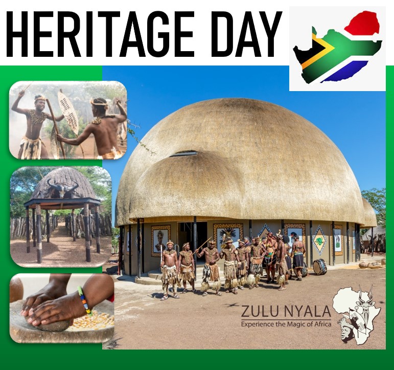 🇿🇦 Heritage Day
facebook.com/10006375018446…

ZULUNYALA.CO.ZA 
.
.
.
#zulunyala #HeritageDay2023 #SouthAfrica