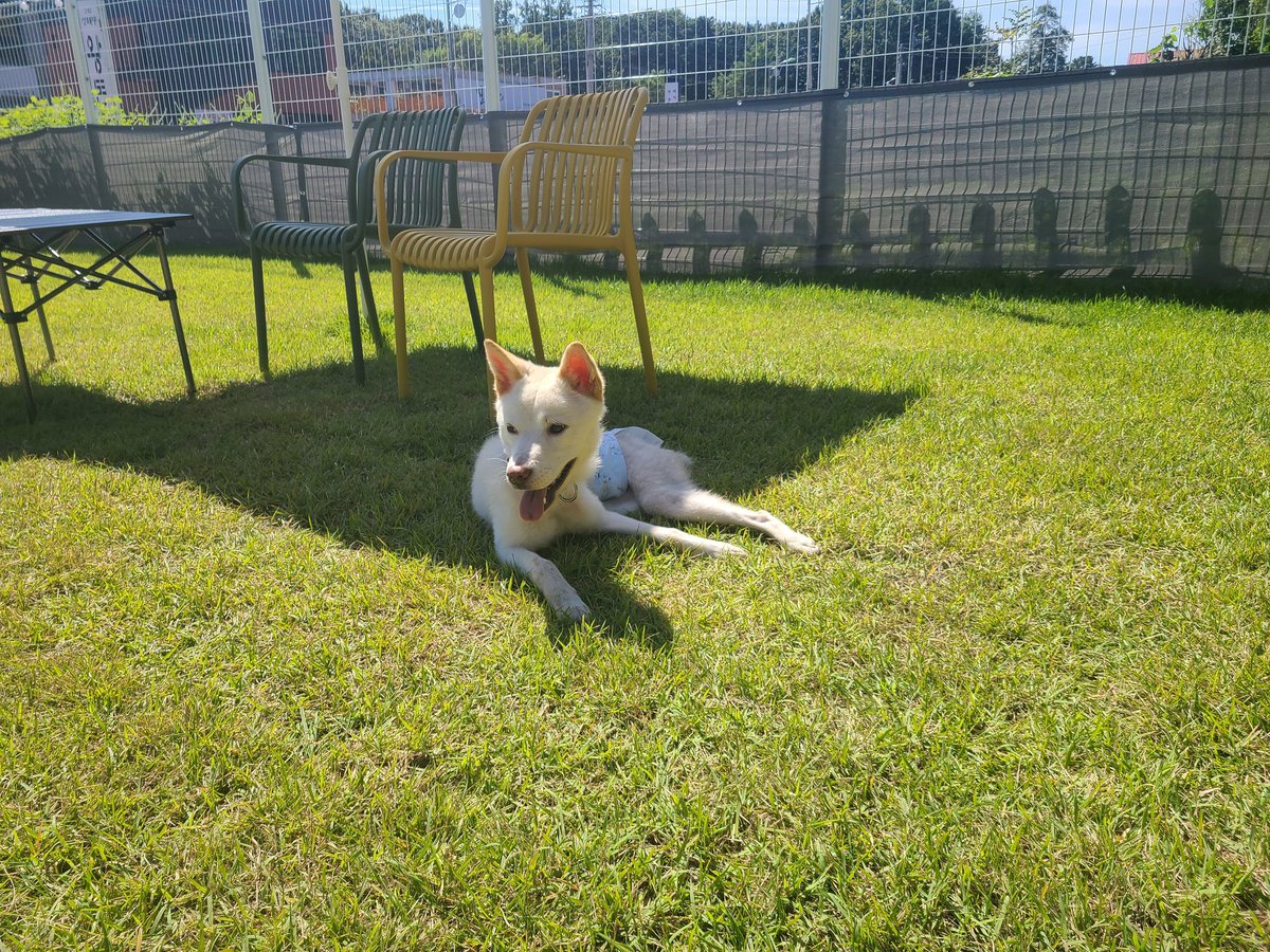 이렇게 시종일관 밝게웃는거 처음봤어요 ㅋ 하니가 애카 체질이네요 ^^