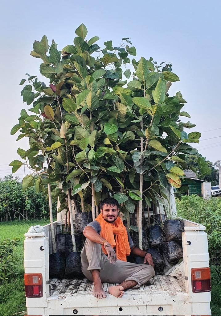 Tree Man Devender Sura tweet media