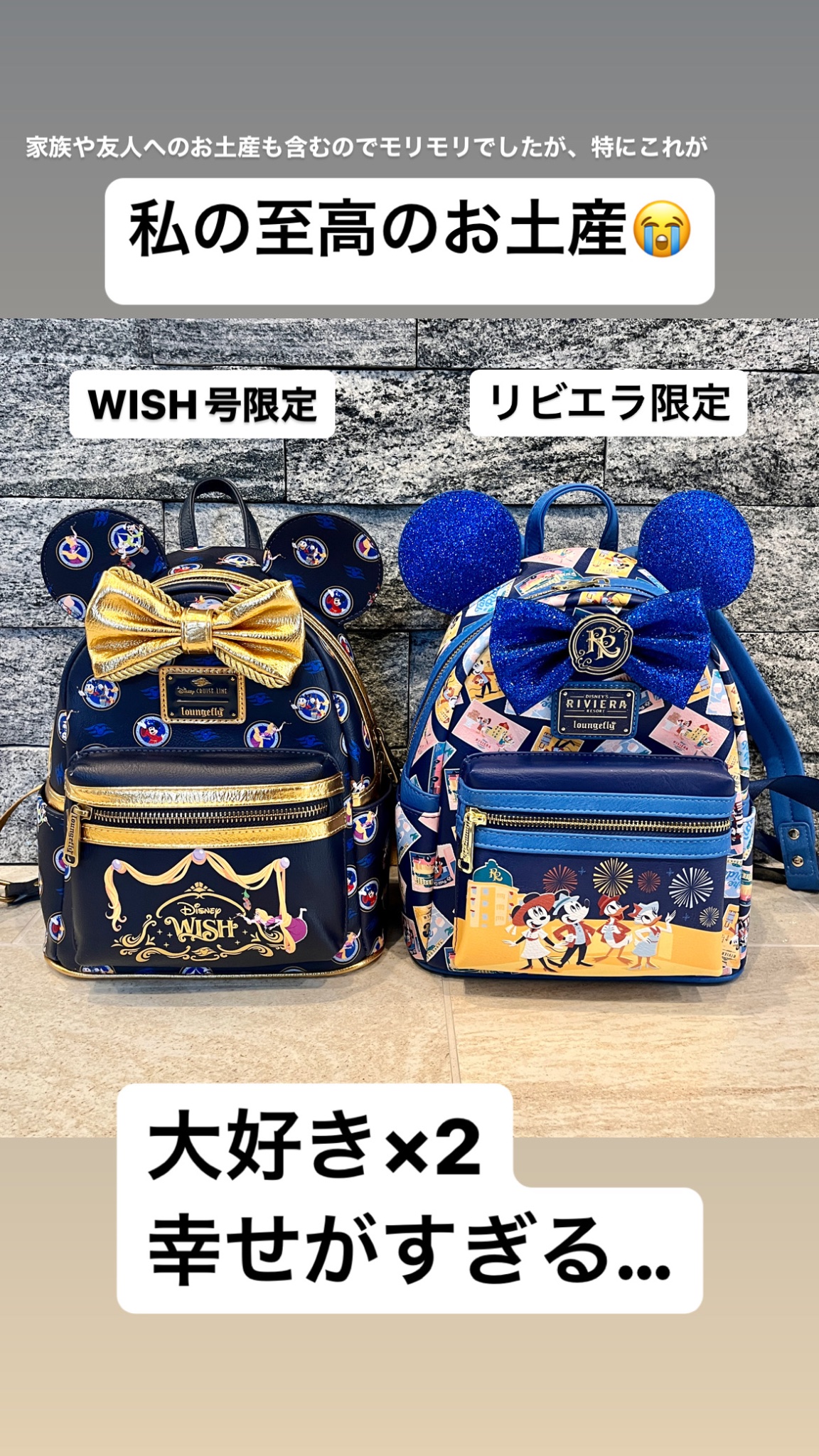 DisneyラウンジフライリュックディズニークルーズWISH限定