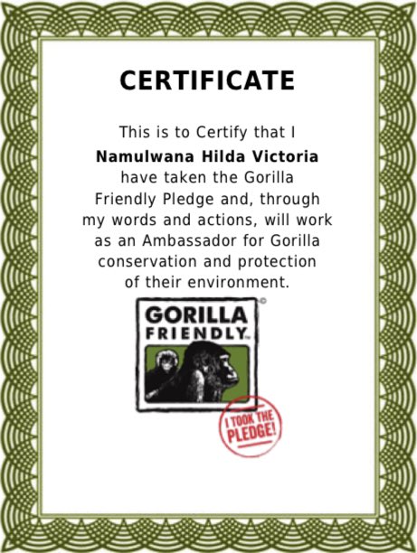 Gorillas are vital to our ecosystems, and their conservation is crucial. 

Together, we can protect their habitat and ensure a brighter future for them

Take take off and take your gorilla pledge today as we celebrate the #WorldGorillaDay