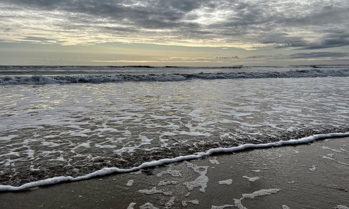 TomCadwallender's tweet image. ‘Good Morning Good Morning’ Alnmouth Bay, on the splendid Northumberland coast! #mypatch