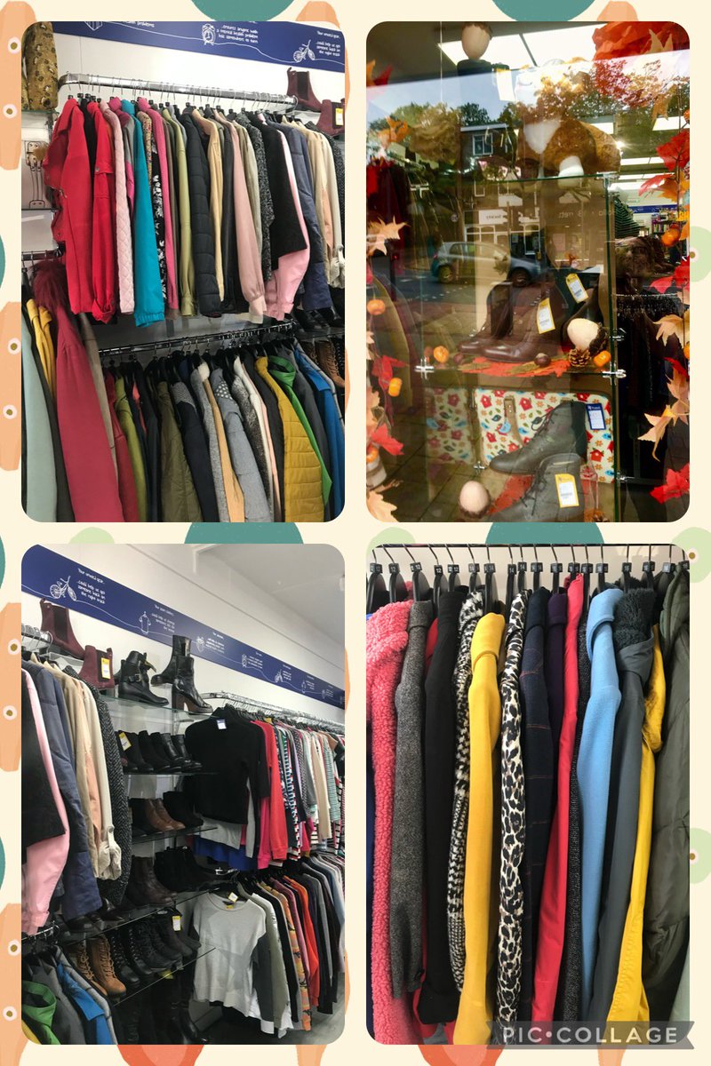 Mind Sherwood tweet media