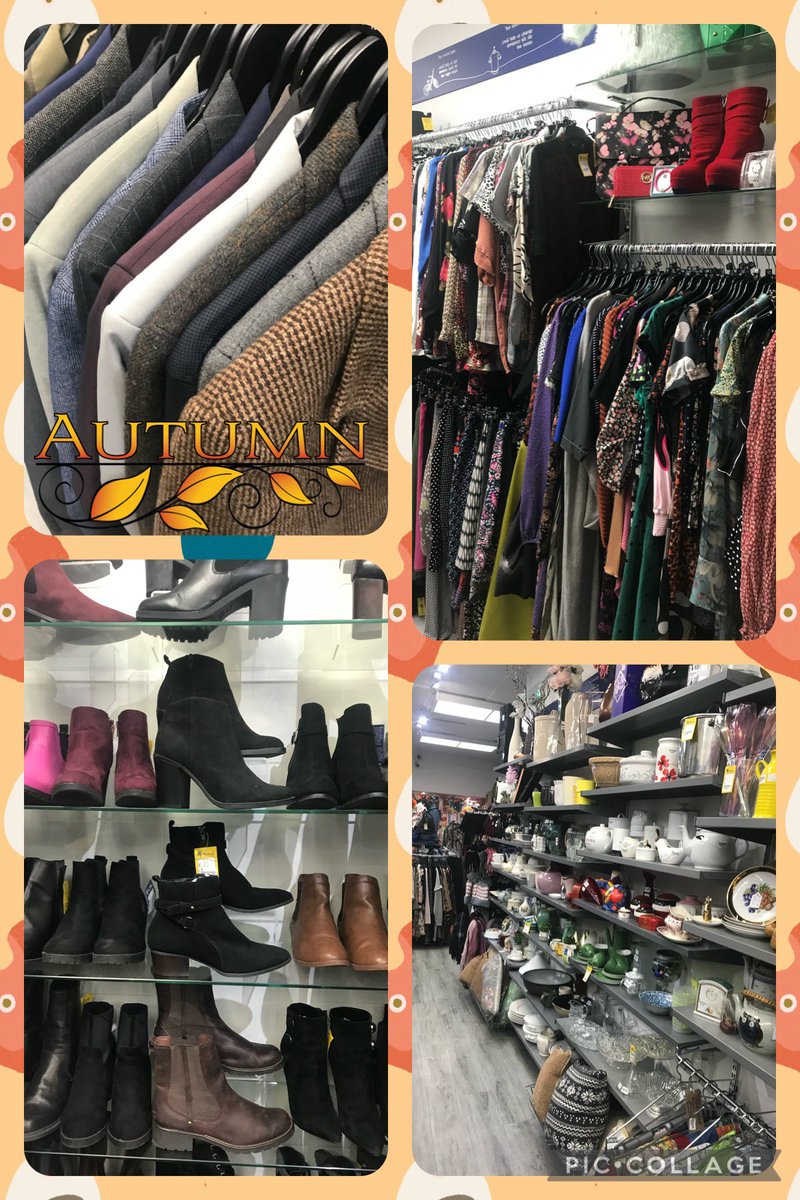 Mind Sherwood tweet media