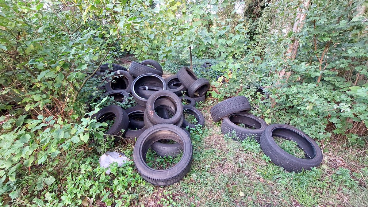 PROGROEN DE PLUKTUIN tweet media