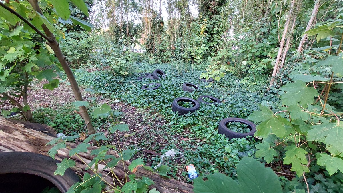 PROGROEN DE PLUKTUIN tweet media