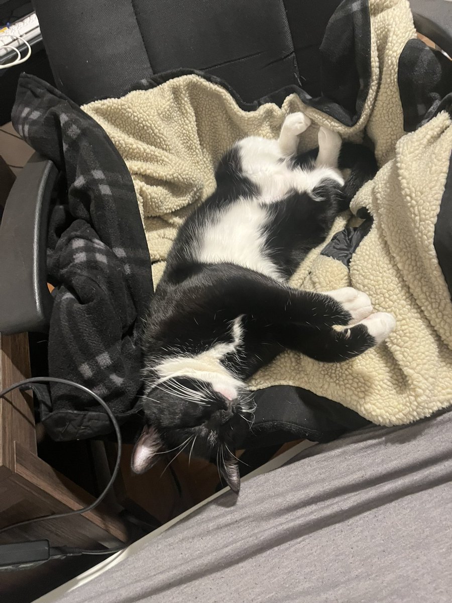 she resting like she works five days a week