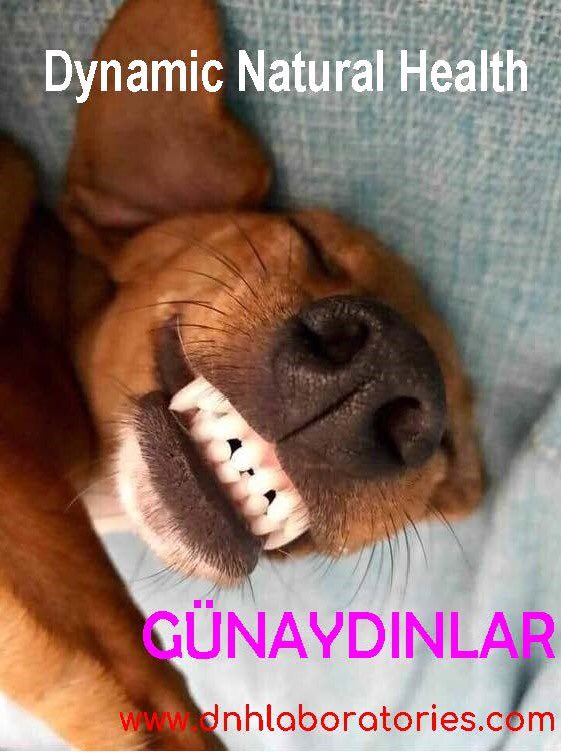 DnhSystem's tweet image. 