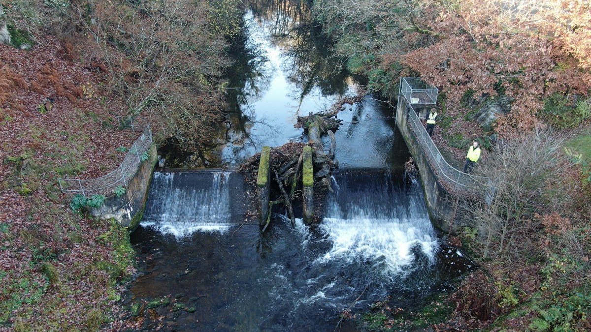 Cyfoeth Naturiol Cymru | Natural Resources Wales tweet media