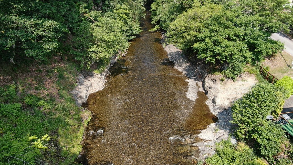 Cyfoeth Naturiol Cymru | Natural Resources Wales tweet media