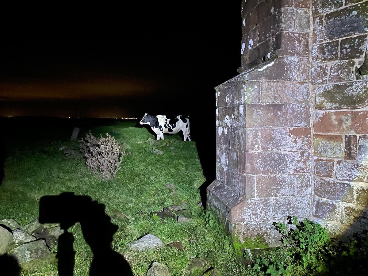 hour_paranormal's tweet photo. Had an amazing time at Cockersand Abbey, conducting a thrilling overnight paranormal investigation for our YouTube channel! 😱🎥 #ParanormalInvestigation #HauntedAdventures #SpookyAbbeys #YouTubeGhosts https://t.co/RVqA0ilNGp