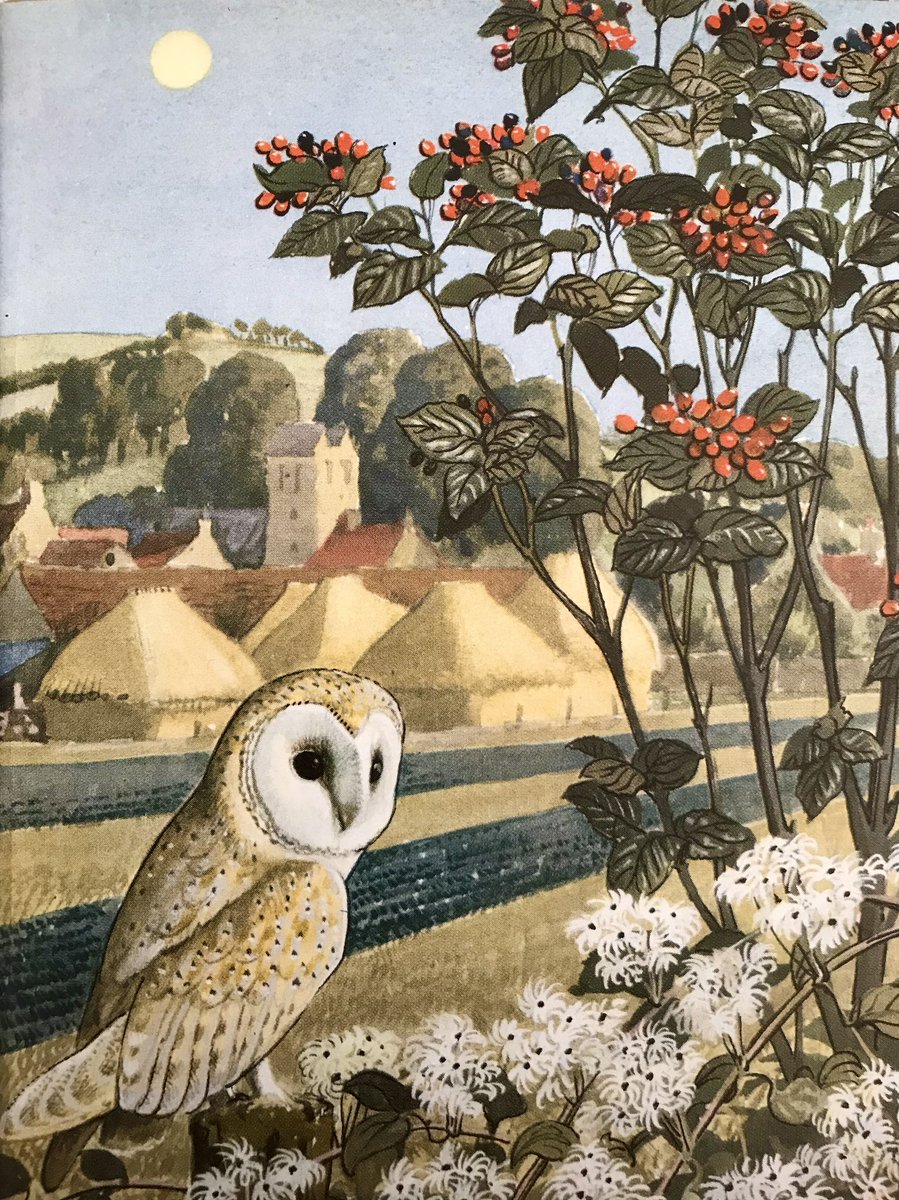 LBFlyawayhome's tweet photo. “A full harvest moon is rising, though it is still only twilight”

Artist: CF Tunnicliffe 
Writer: EL GrantWatson https://t.co/m6fHXxpN3z