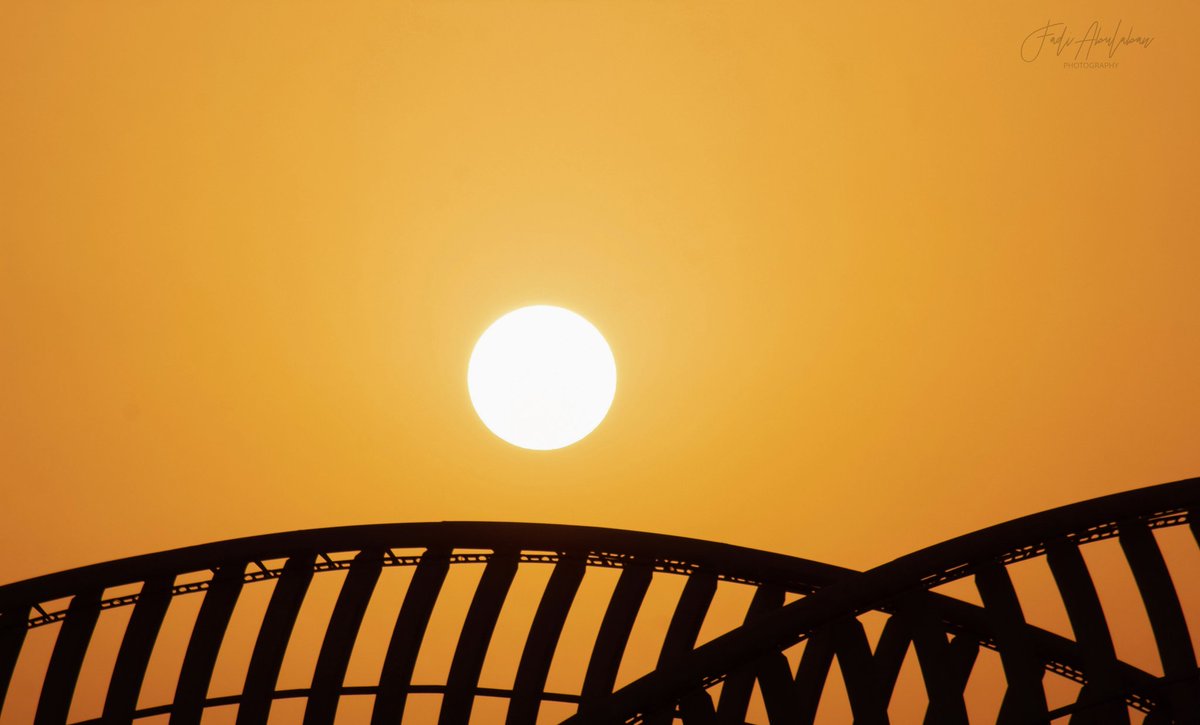 FadiAbulaban's tweet photo. Sunset silhouette 📷🌍
#nationalgeographicmagazinev #hipaae #sky #sun #sunset #sunshine #sunsets_oftheworld #twilightscapes #sky #clouds #all_sunsets #igsunset #super_photosunsets #ig_sunset @NatGeo @NatureattheBest @rgsphotogallery @piitures @Sunrise2Sunsets https://t.co/uK9OmCIm4I