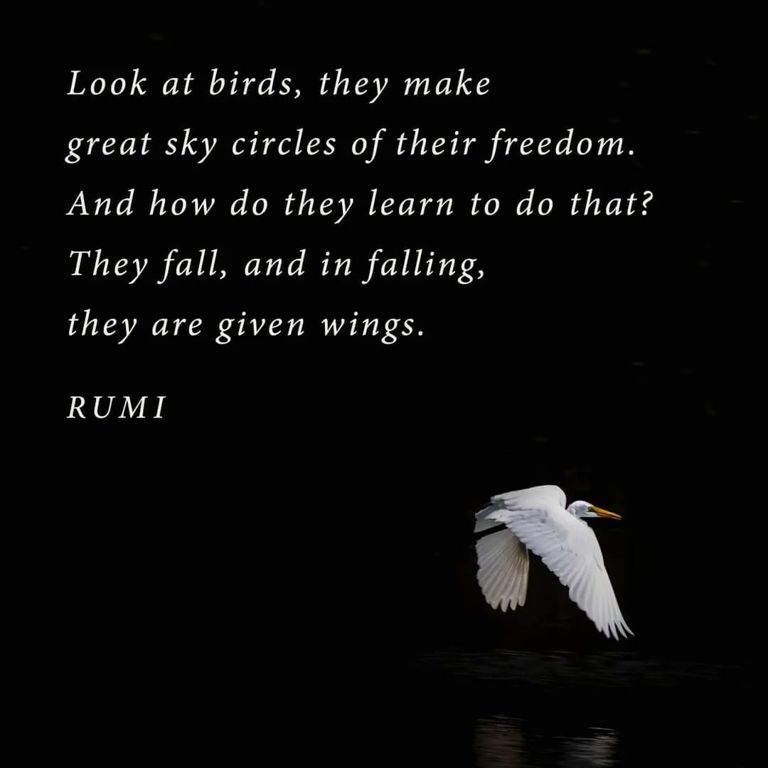 Psychology Quotes (@quotepsychology) on Twitter photo 