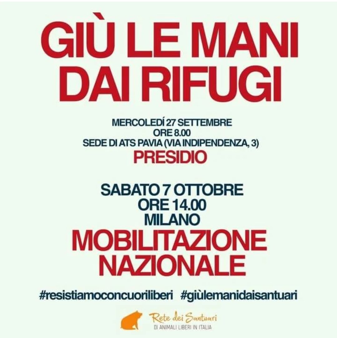 partigianovegan's tweet photo. Vi prego di diffondere sui social, ai vostri amici, ai vostri conoscenti e al mondo intero le iniziative che verranno intraprese settimana prossima per rendere giustizia alle 10 vittime innocenti del rifugio #CuoriLiberi . Seguite le pagine social della #retedeisantuari per info https://t.co/uUzA8bbBop