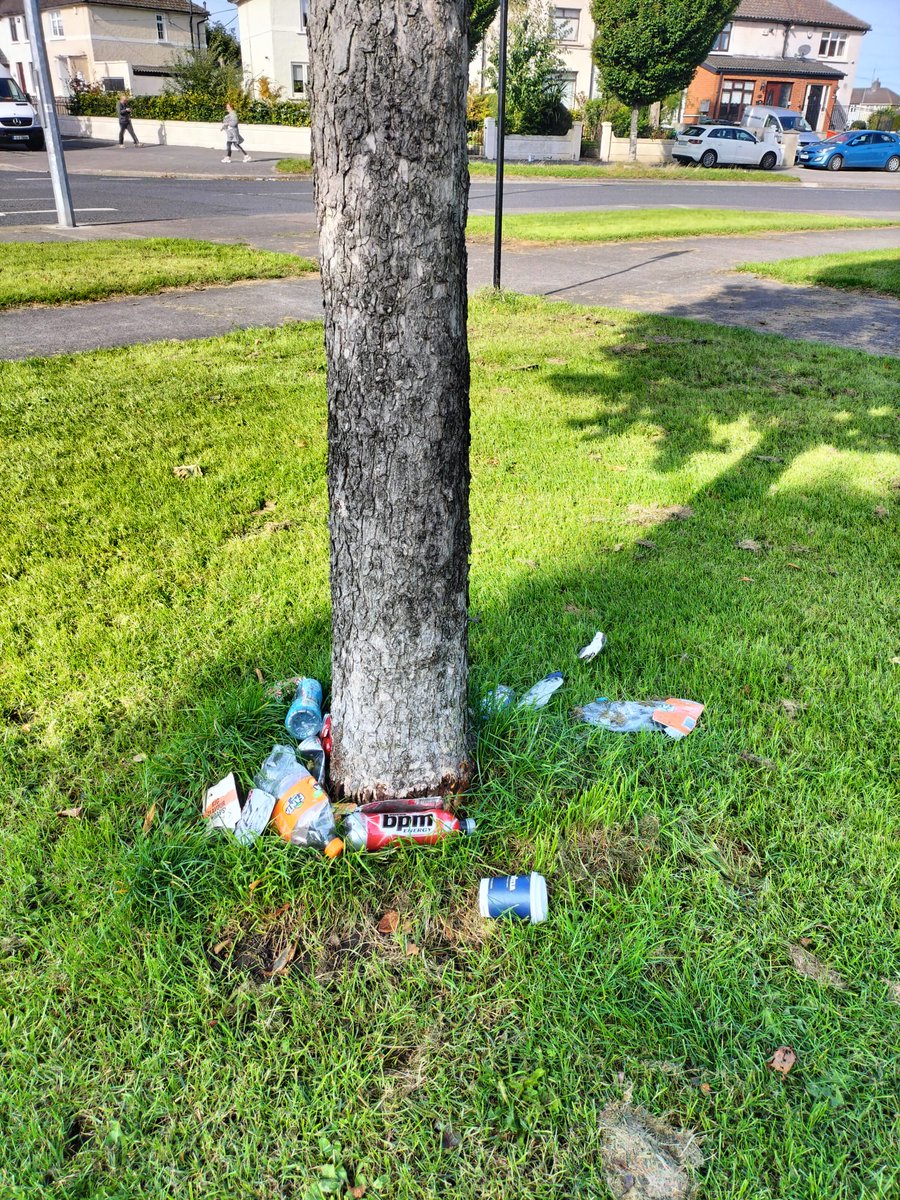 Bloomin Crumlin tweet media