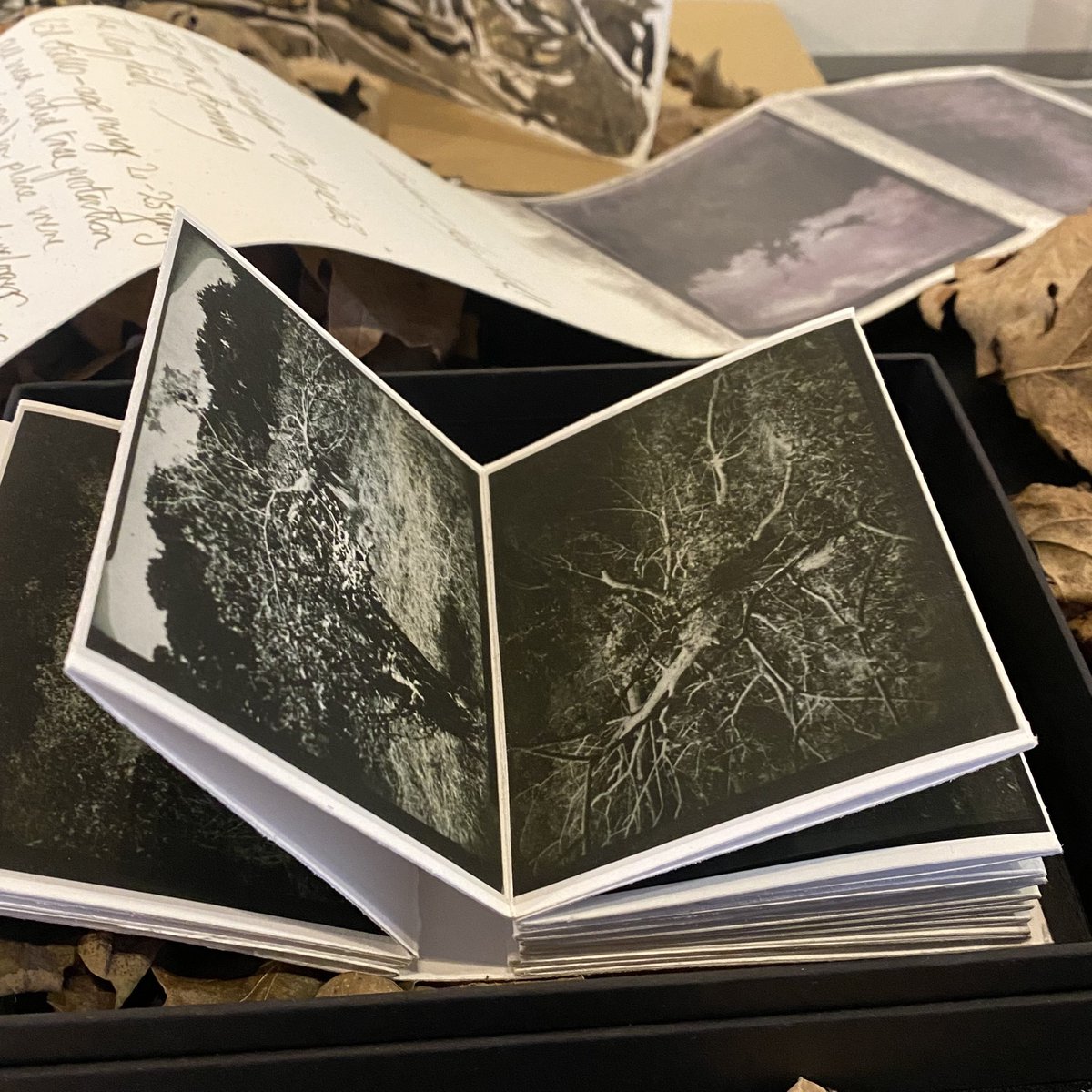 Ky Lewis tweet media