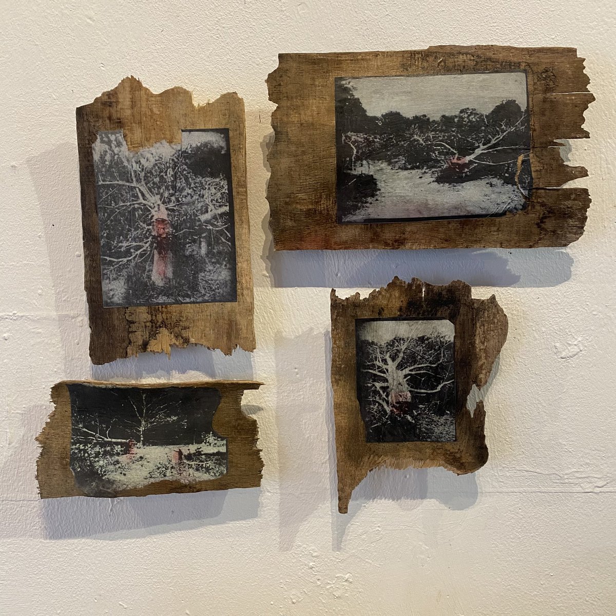 Ky Lewis tweet media