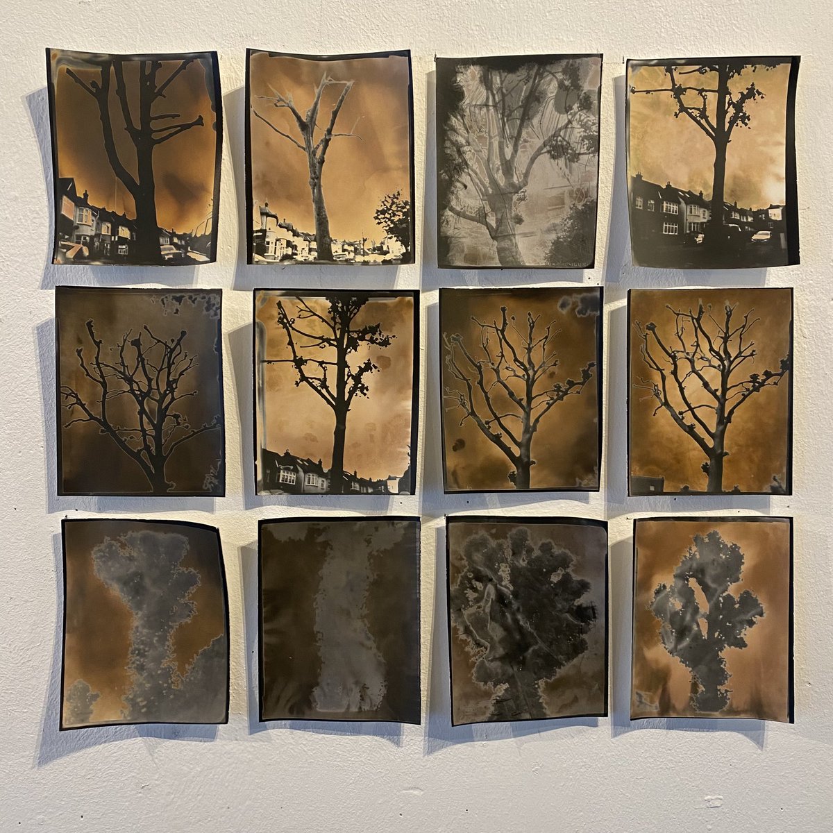 Ky Lewis tweet media