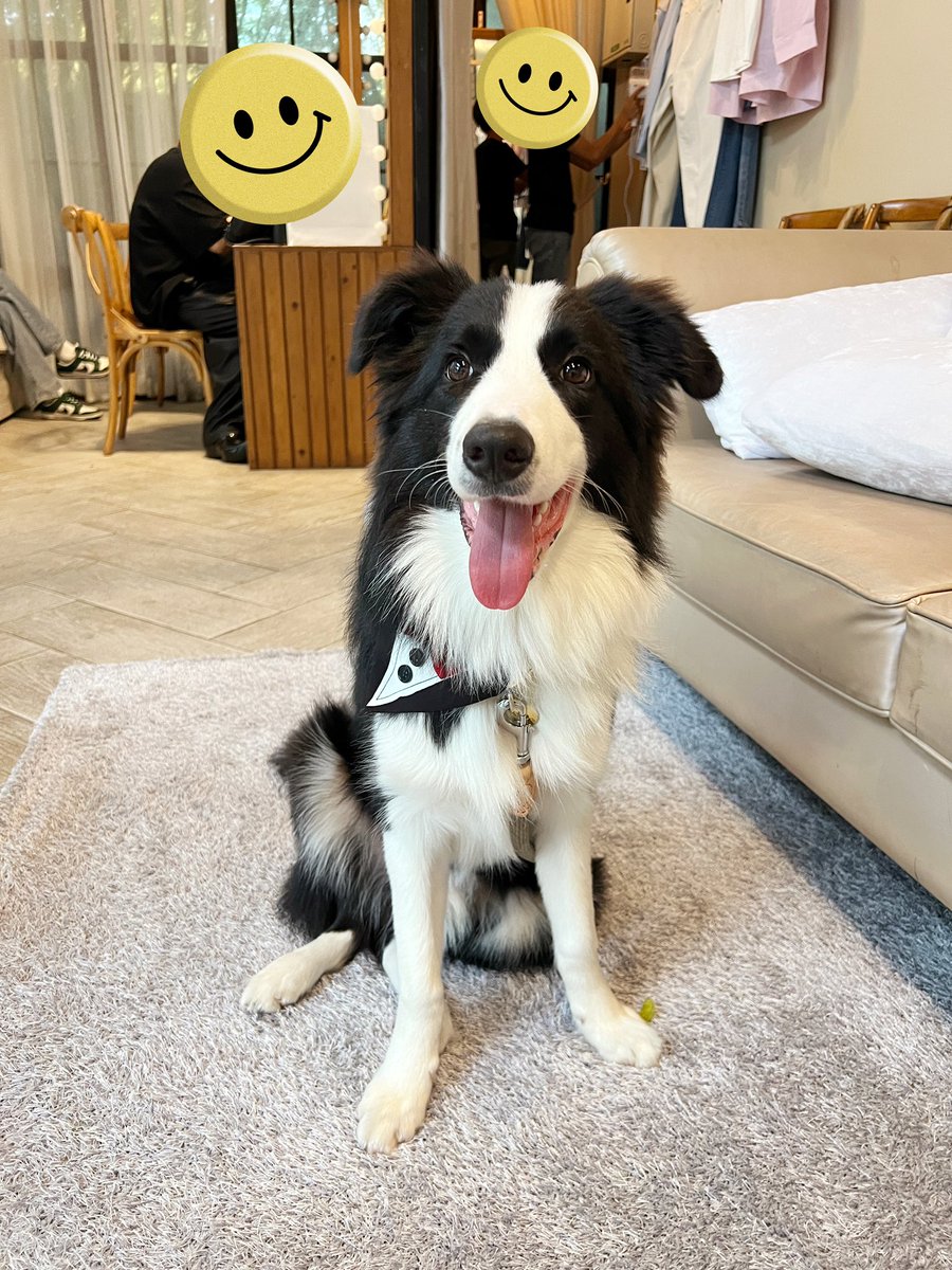 ps_pye's tweet photo. BA มาแจกยิ้มหวานๆให้ย่าย่าชื่นใจ
🥰🥰
#VIFplayground
#Zuluecho5 #Sammerbcollie https://t.co/kI6fjW6ZzH