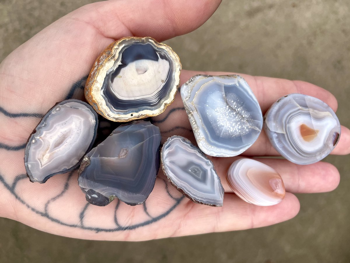 Dr Katie Strang tweet media