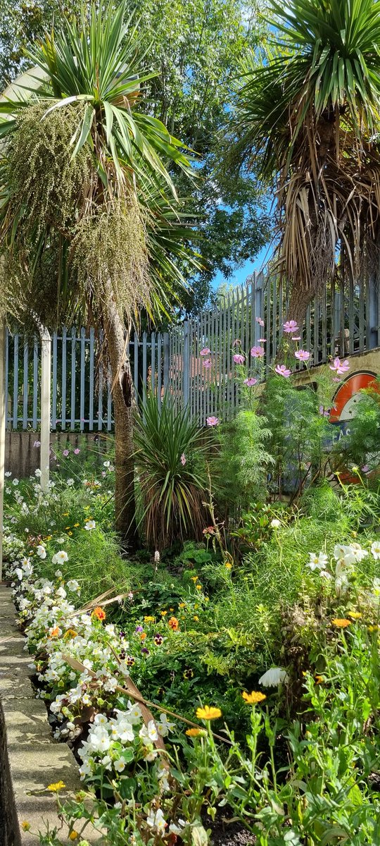 Volunteers tend to the flower beds at my local train station. I couldn't help but admire the results as I was waiting on the platform.