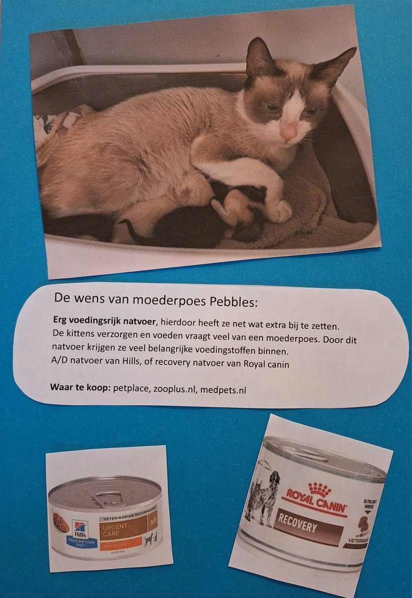 Onze #dierendag wensen.

4 oktober #werelddierendag 🐾

dierenasielzwolle.nl/acties/dierend…