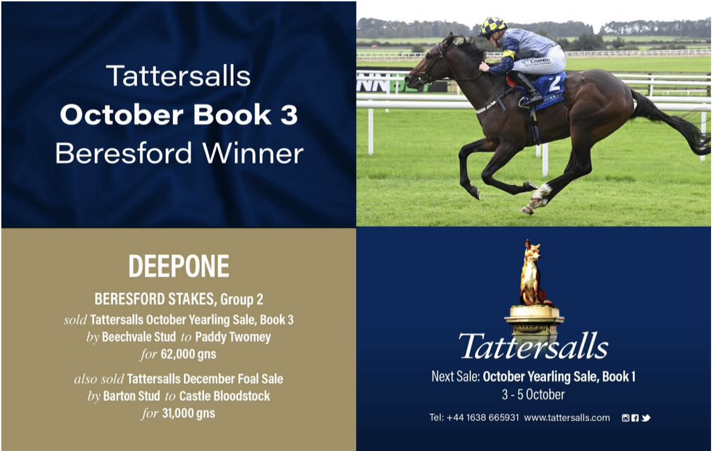 theTDN's tweet photo. 🤩DEEPONE winner of the Beresford Stakes, Group 2

Sold @Tattersalls1766 October Yearling Sale, Book 3 by Beechvale Stud to Paddy Twomey for 62,000 gns https://t.co/9xv2r2oLQa