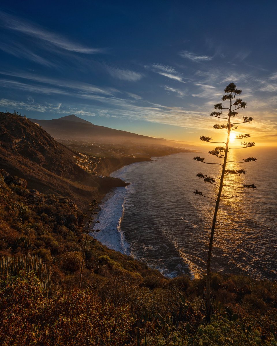 Zeworldphoto's tweet photo. Atardecer de ayer desde Santa Úrsula con vistas al Valle de La Orotava
#Tenerife #Canarias #Teide https://t.co/E2hMkze0qw